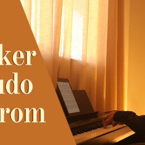 Veludo Marrom - Liniker: partitura para piano